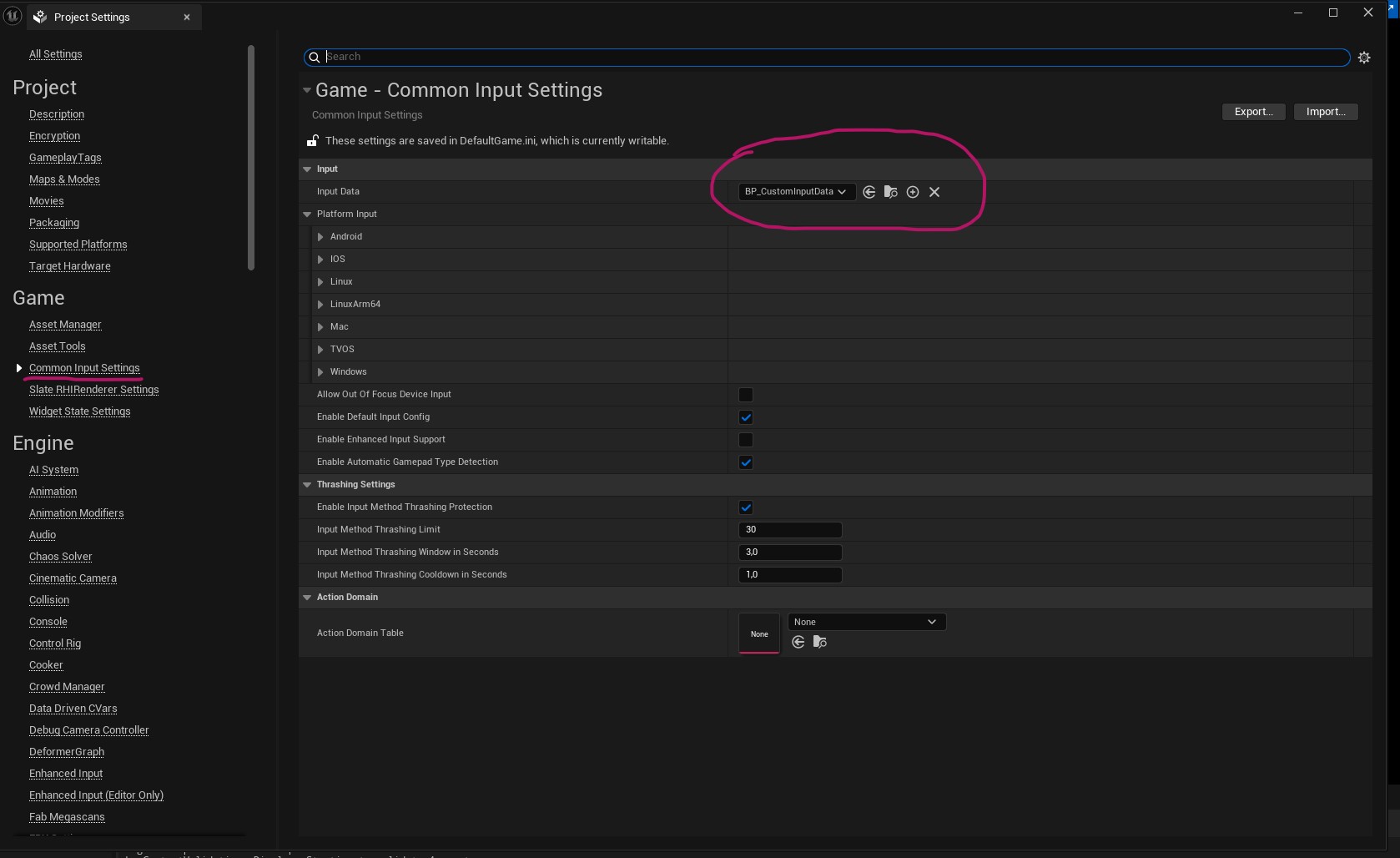 Assign Input Data